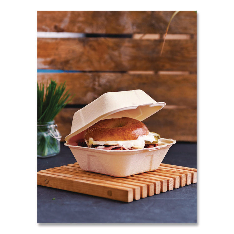 Nourish Molded Fiber Takeout Containers, Compostable, 5.9 x 5.9 x 2.9, White, Sugarcane, 400/Carton