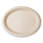 Nourish Molded Fiber Tableware, Compostable, Platter, Sugarcane, 8 x 10, White, 500/Carton