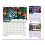 Recycled Succulent and Cacti Wall Calendar, 14 x 11, Multicolor Sheets, 12-Month (Jan-Dec): 2026