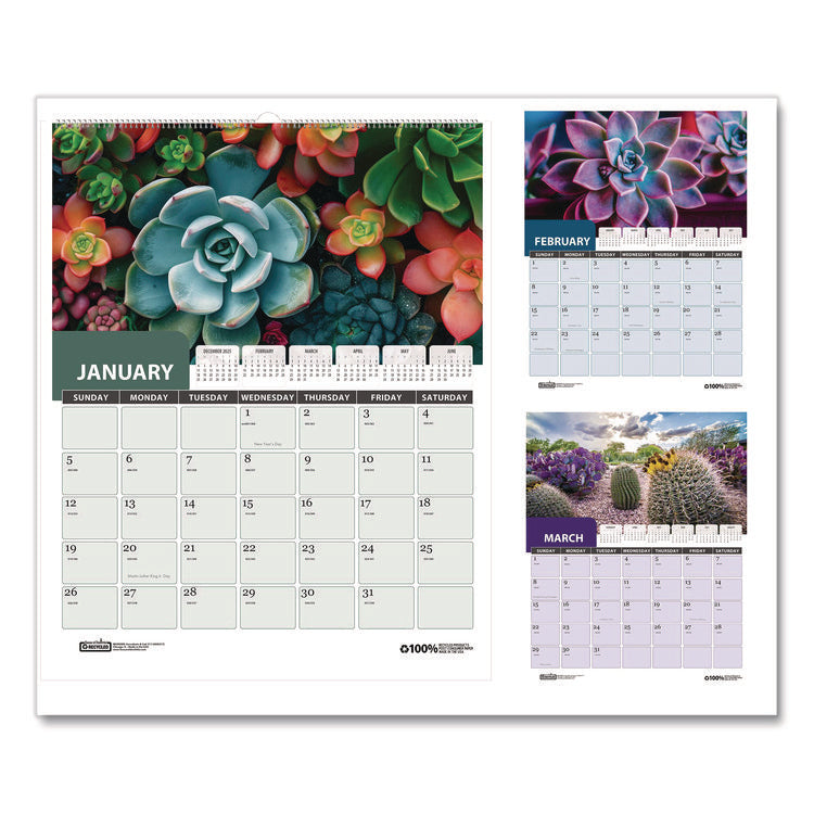 Recycled Succulent and Cacti Wall Calendar, 14 x 11, Multicolor Sheets, 12-Month (Jan-Dec): 2026