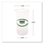 GreenStripe Renewable and Compostable PLA Cold Cups, 24 oz, Plastic, Clear, 50/Pack, 20 Packs/Carton