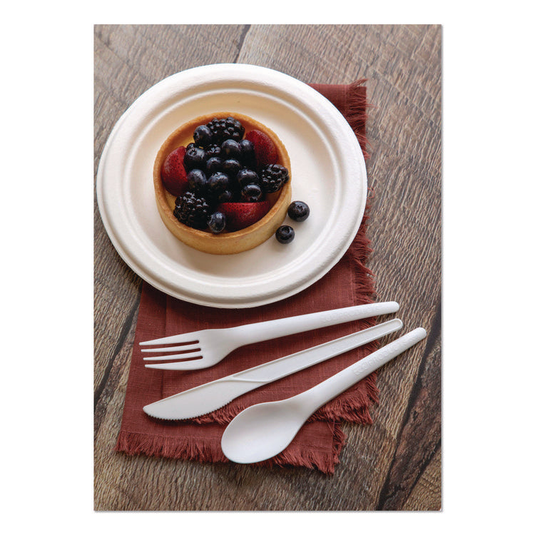 Plantware Compostable Cutlery, Spoon, Plastic, White, 1,000/Carton
