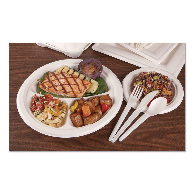 Plantware Compostable Cutlery, Spoon, Plastic, White, 1,000/Carton