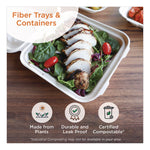 Fiber Catering Pans, 3 Compartments, 10.3 x 2.8 x 12.8, Paper, Natural, 200/Carton