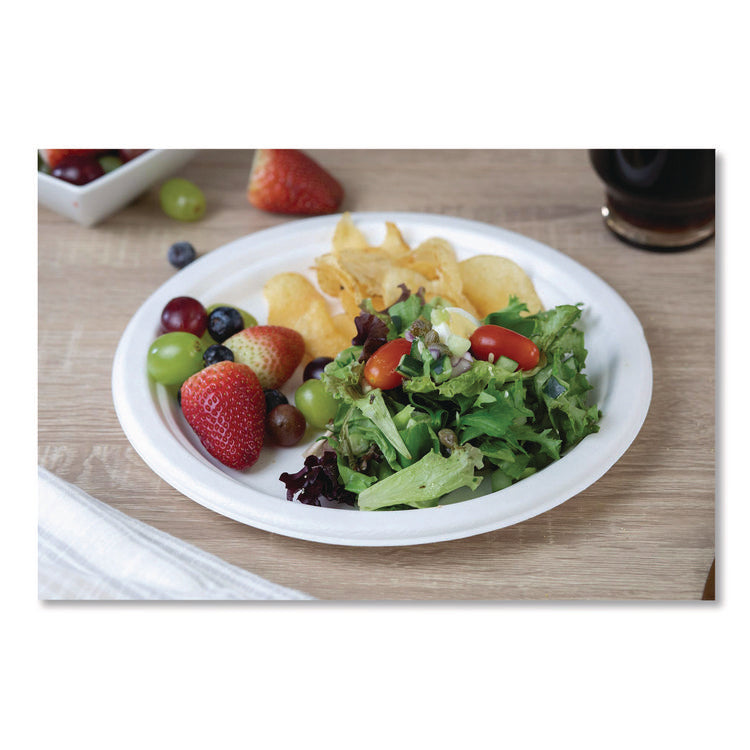 ChampWare Molded Fiber Tableware, Molded Fiber Plate, 10" dia, White, 125 Plates/Sleeve, 4 Sleeves/Carton
