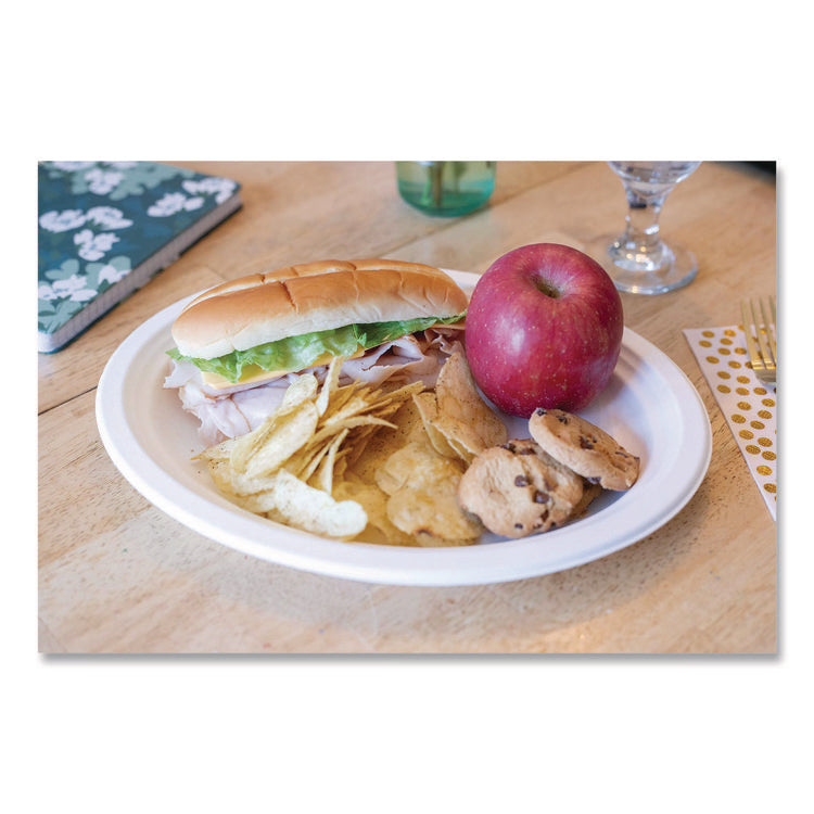ChampWare Molded Fiber Tableware, Molded Fiber Platter, 12.5" dia, White, 125 Plates/Sleeve, 4 Sleeves/Carton
