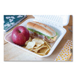 ChampWare Molded-Fiber Clamshell Containers, 9 x 9 x 3, White, 100/Sleeve, 2 Sleeves/Carton