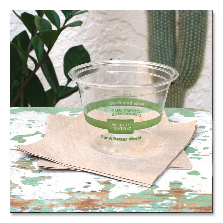 PLA Clear Cold Cups, 9 oz, Plastic, Clear, 1,000/Carton