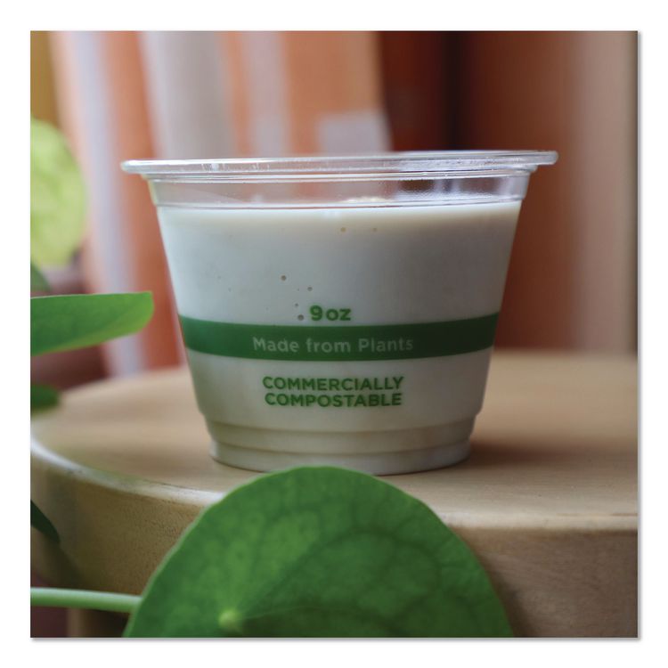 PLA Clear Cold Cups, 9 oz, Plastic, Clear, 1,000/Carton