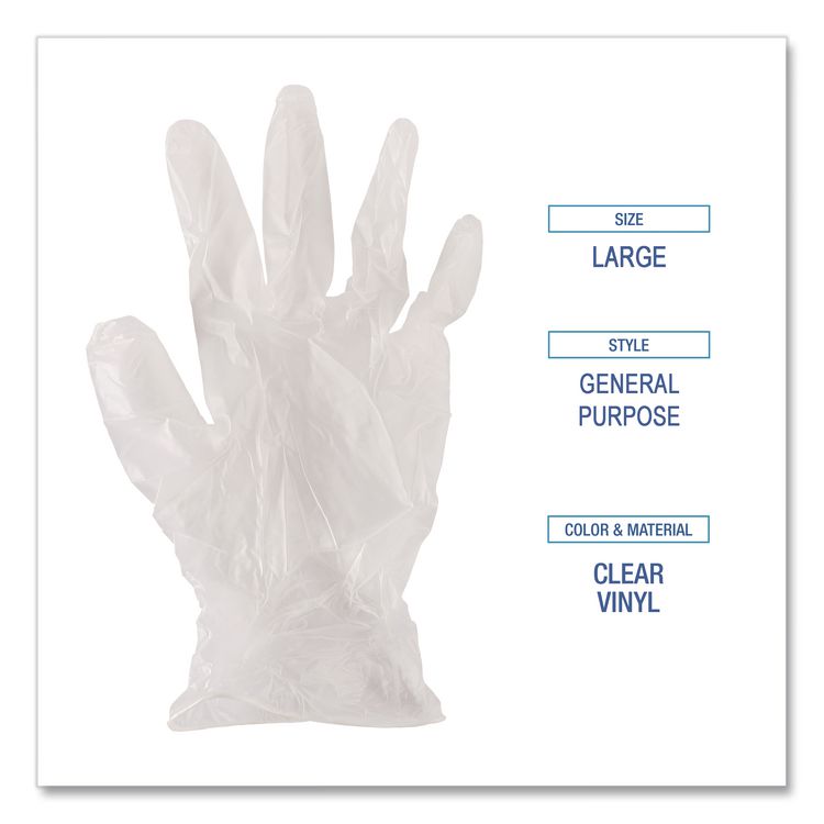 General Purpose Vinyl Gloves, Powder-Free, Large, 2.6 mil Thick, 9.5" Long, Clear, 100/Box, 10 Boxes/Carton