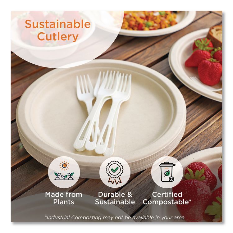TPLA Compostable Cutlery, Spoon, Plastic, White, 1,000/Carton