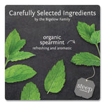 Steep Tea, Mint, 1.41 Oz Tea Bag, 20/box