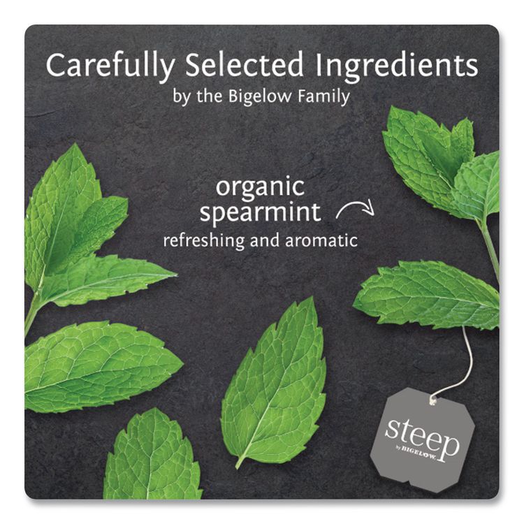 Steep Tea, Mint, 1.41 Oz Tea Bag, 20/box