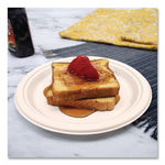 Compostable Molded Fiber Dinnerware, ProPlanet Seal, Plate, 9" dia, Natural, 500/Carton