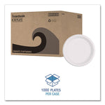 Hi-Impact Plastic Dinnerware, Plate, 6" Dia, White, 1,000/carton