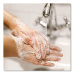 Basics Hypoallergenic Foaming Hand Wash, Honeysuckle Scent, 15.2 oz