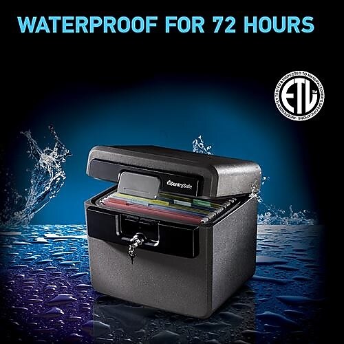 SentrySafe Plastic Fire/Waterproof Safe with Key, 0.65 cu. ft. (HD4100)