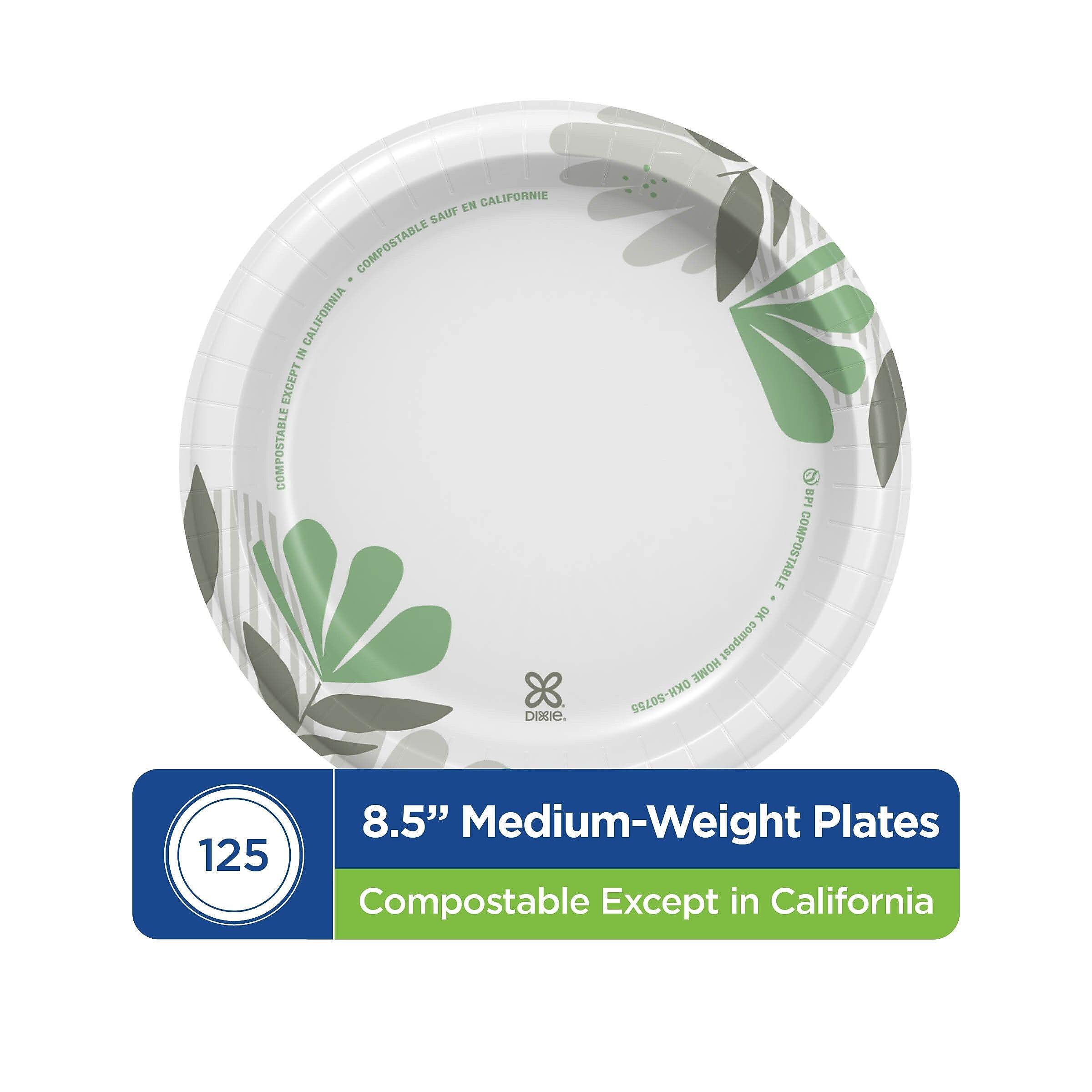 Dixie Pathways 8.5" Paper Plates, Multicolored, 125 Plates/Pack (DXEUX9WS)