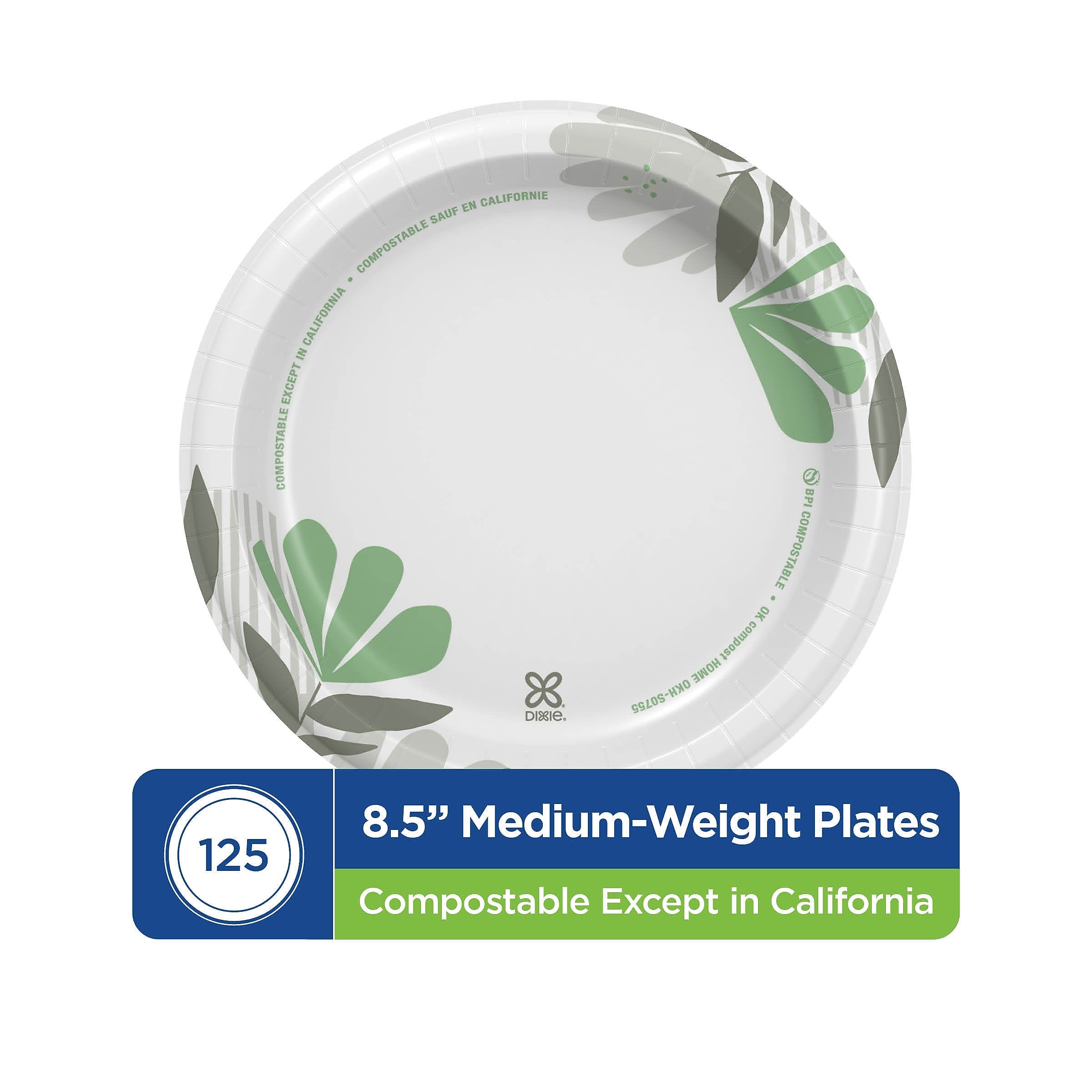 Dixie Pathways 8.5" Paper Plates, Multicolored, 125 Plates/Pack (DXEUX9WS)