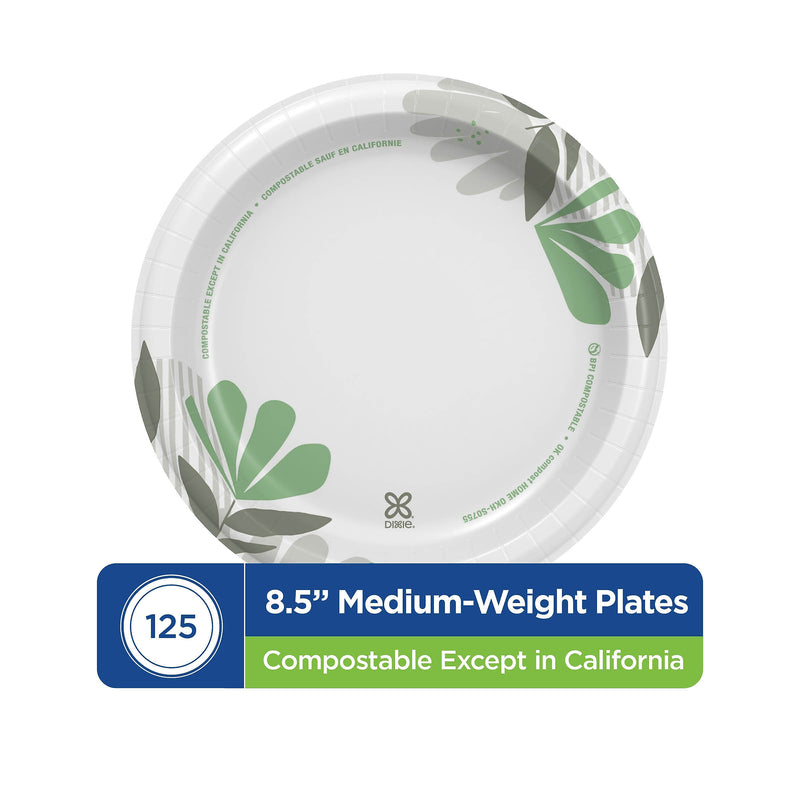 Dixie Pathways 8.5" Paper Plates, Multicolored, 125 Plates/Pack (DXEUX9WS)