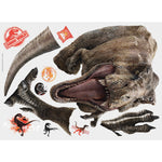 York Wallcoverings Jurassic World 2 T-Rex Children's Decals, Music, Movies & TV (RMK3797SLM)