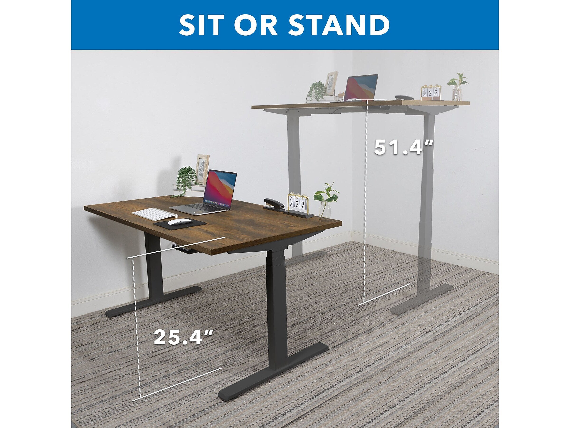 Mount-It! Ultimate 55"W Electric Rectangular Adjustable Standing Desk, Oak/Black (MI-18082)