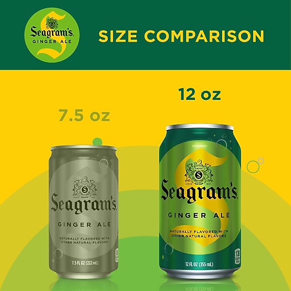 Seagram's Ginger Ale, 12 oz., 24/Carton (00072979004167)