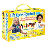 Insect Lore Life Cycle Figurines Set, 24 Pieces (ILP2205)