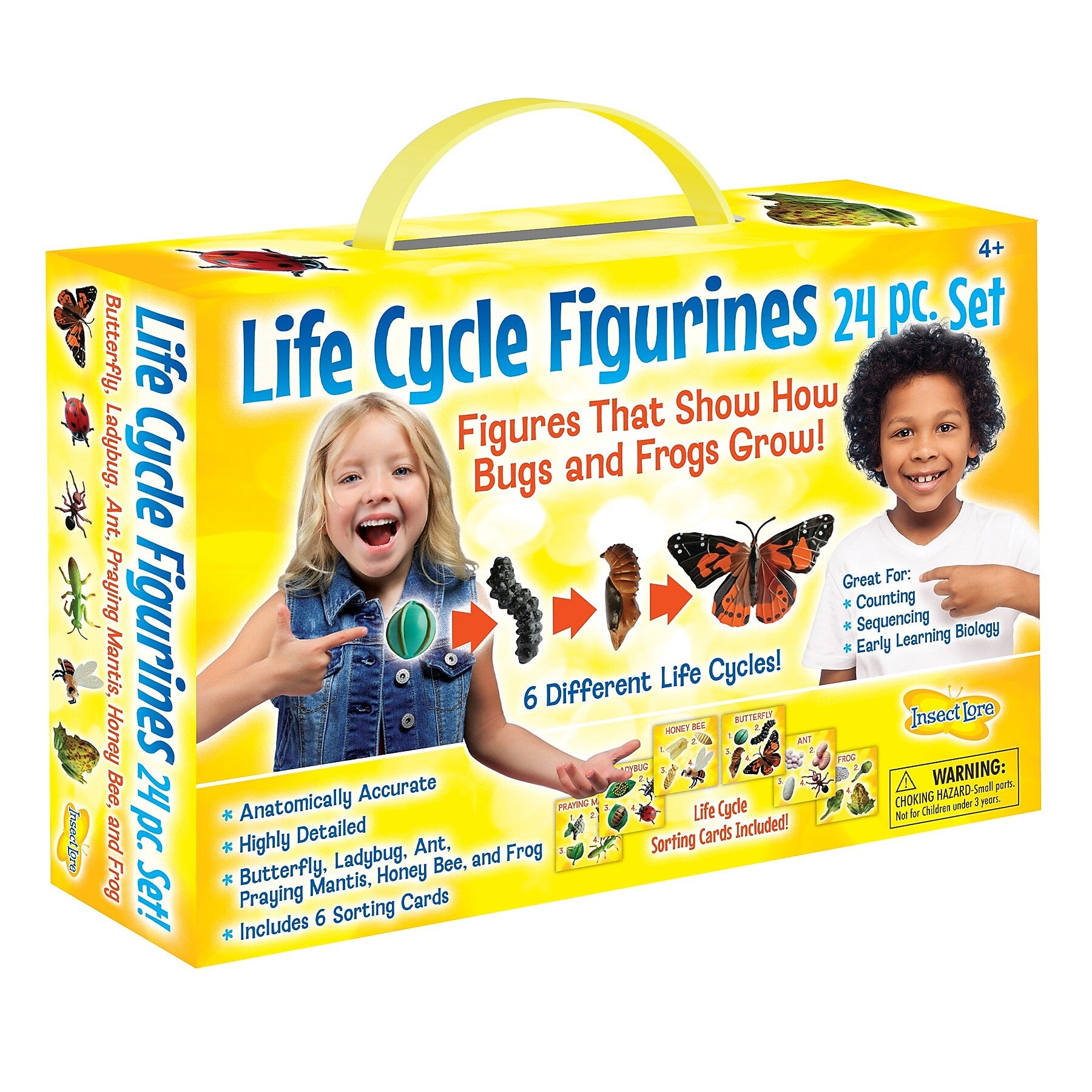 Insect Lore Life Cycle Figurines Set, 24 Pieces (ILP2205)