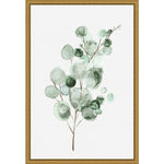 Amanti Art Tender Sprout II (Eucalyptus) by Eva Watts Framed Canvas Wall Art Print, 16" x 23" (A42675040761)