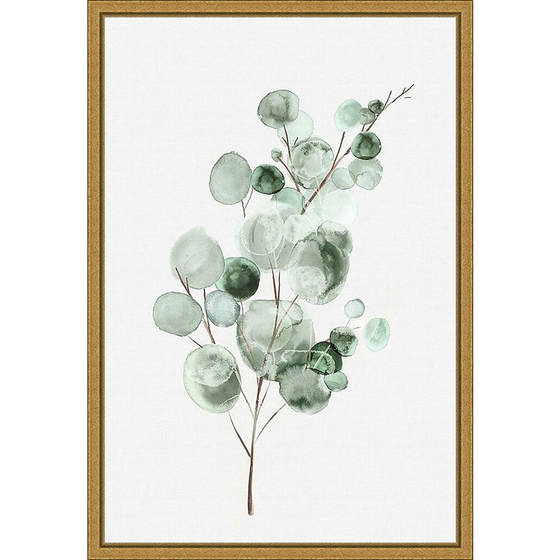 Amanti Art Tender Sprout II (Eucalyptus) by Eva Watts Framed Canvas Wall Art Print, 16" x 23" (A42675040761)