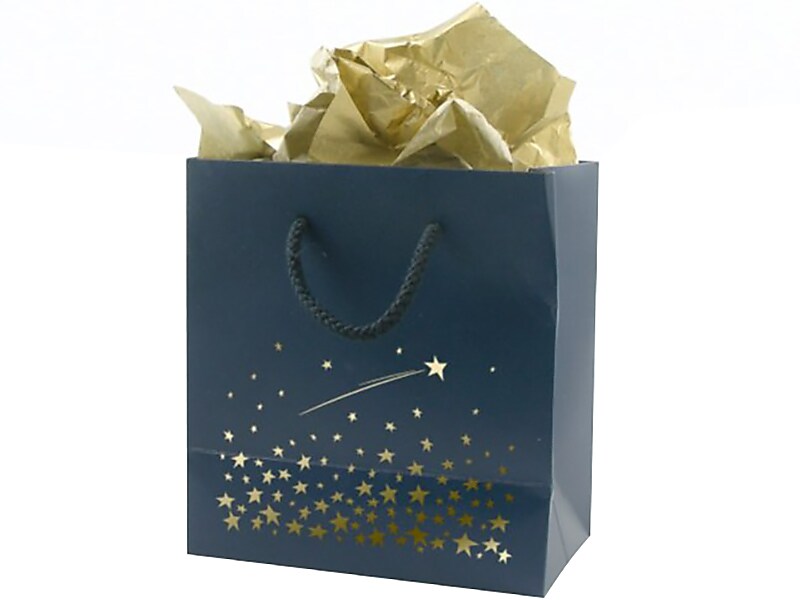Baudville Stars Gift Bag, 6.5" x 6.5" x 3.5", Navy/Gold, 5/Pack (1391249P531)
