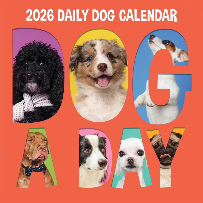 2026 TF Publishing Dog-A-Day 12" x 12" Monthly Wall Calendar, Multi (26-1009)