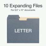 Pendaflex Recycled Heavy Duty File Pocket, 3/4" Expansion, Letter Size, Assorted, 10/Pack (FP153L10 ASST)