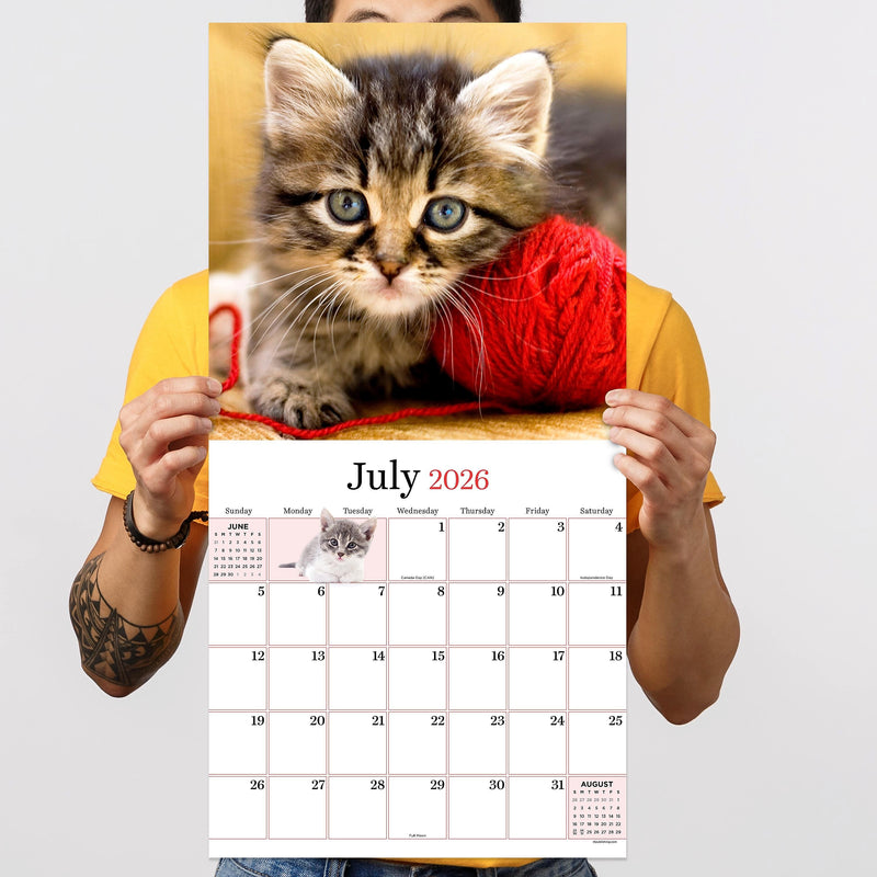 2026 TF Publishing Kittens 12" x 12" Monthly Wall Calendar, Multi (26-1013)