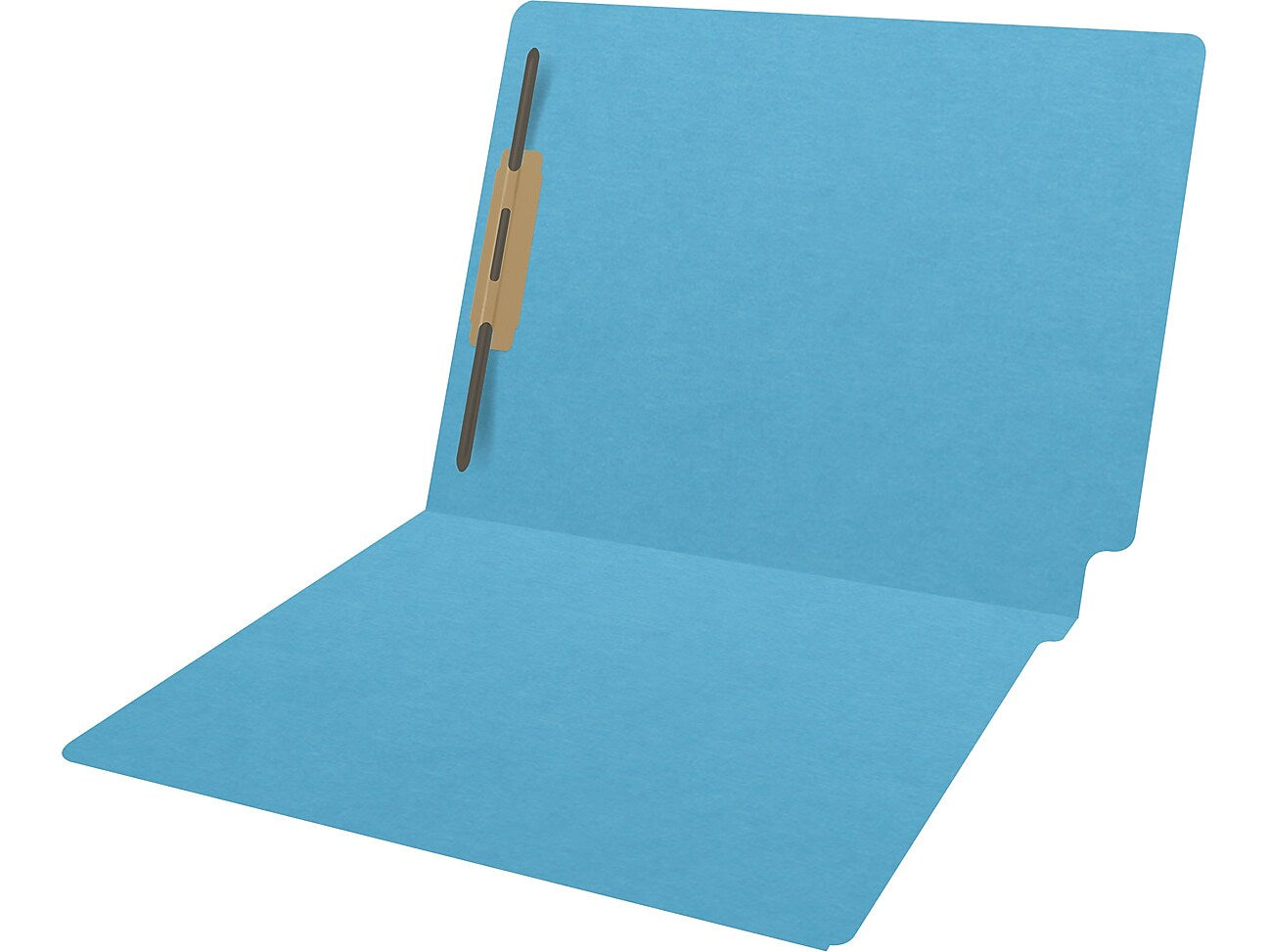 Medical Arts Press Heavy Duty End Tab File Folder, Straight-Cut, Letter Size, Blue, 40/Box (S-09461-DBL)