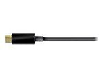 Club 3D 6' Display Port Audio/Video Monitor Cable, Black (CAC-1334)