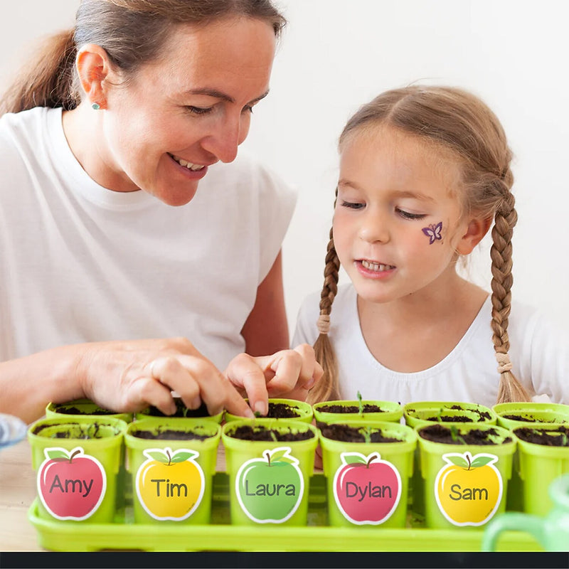Creative Teaching Press Apple Time Apples Designer Cut-Outs, 36/Pack, 3 Packs/Bundle (CTP11059-3)