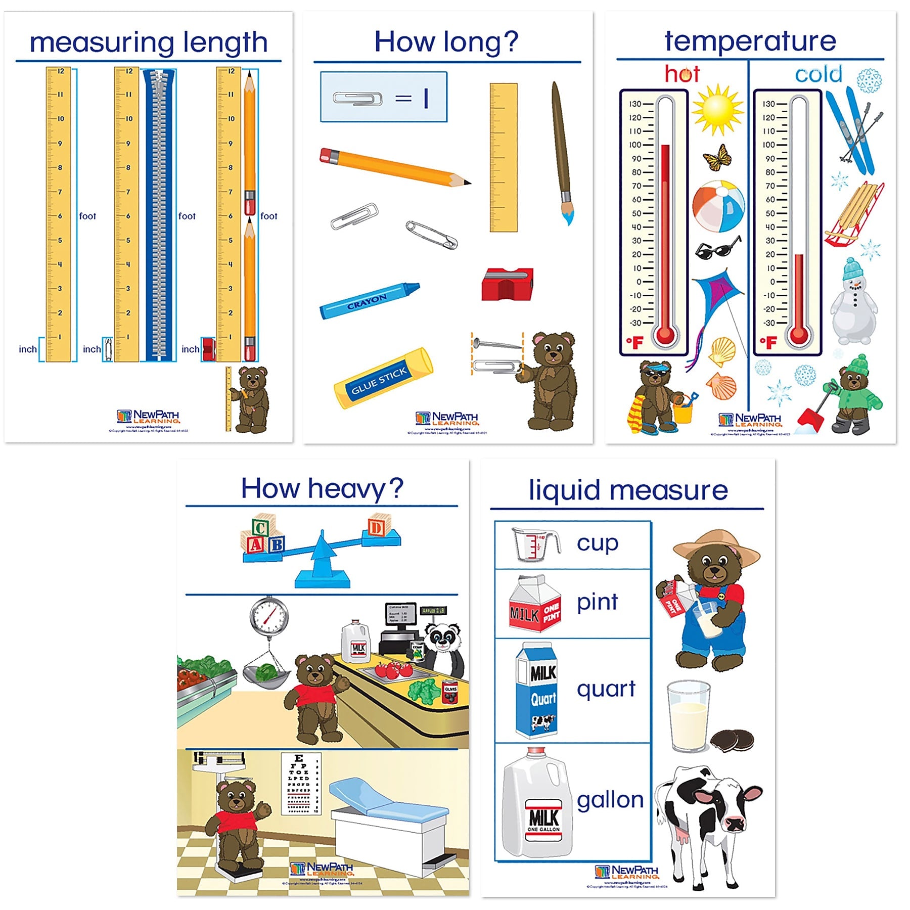 NewPath Learning Measurement Bulletin Board Charts, English Edition, 12" x 18", 5/Set (NP-930228)