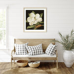 Amanti Art Magnolia Grandiflora 2003 by Jenny Barron Wood Framed Wall Art Print, 31" x 33" (A42675530231)
