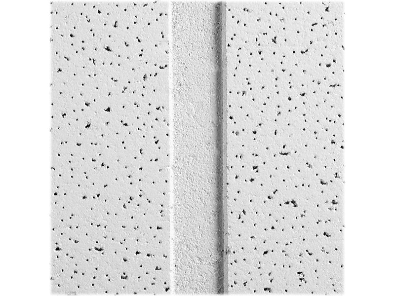Armstrong FINE FISSURED Second Look II, Angled Tegular Edge Ceiling Tile 15/16, 24" x 48", White, 10/Carton (BP1760C)