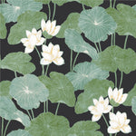 York Wallcoverings Lily Pad Peel and Stick Wallpaper (RMK11433WP)