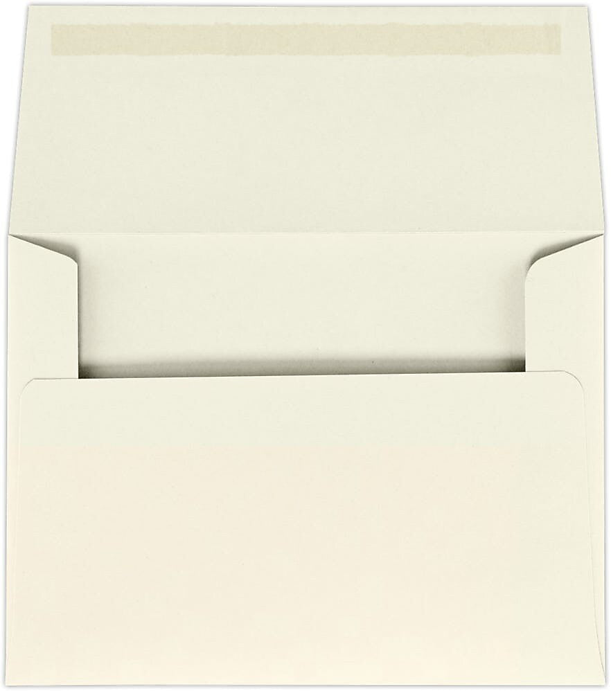 JAM Paper Paper Self Seal A6 Booklet Envelope 4 3/4" x 6 1/2", Natural, 50/Pack (4875-NPC-50)