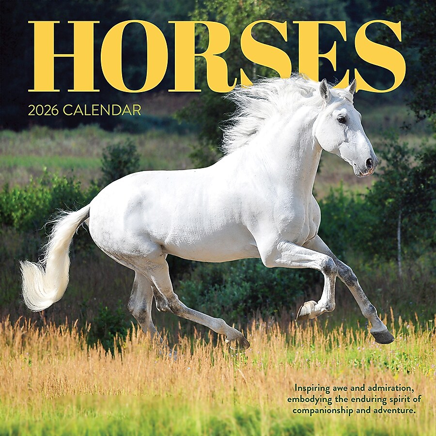 2026 TF Publishing Horses 12" x 12" Monthly Wall Calendar (26-1012)