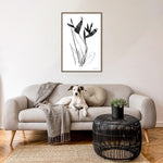 Amanti Art Paradise Botanicals I by Danhui Nai Framed Canvas Wall Art Print, 23" x 33" (A42678302435)