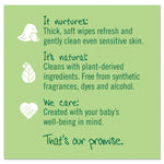 Free and Clear Baby Wipes, 7 x 7, Unscented, White, 64/Flip Top Pack, 12 Packs/Carton
