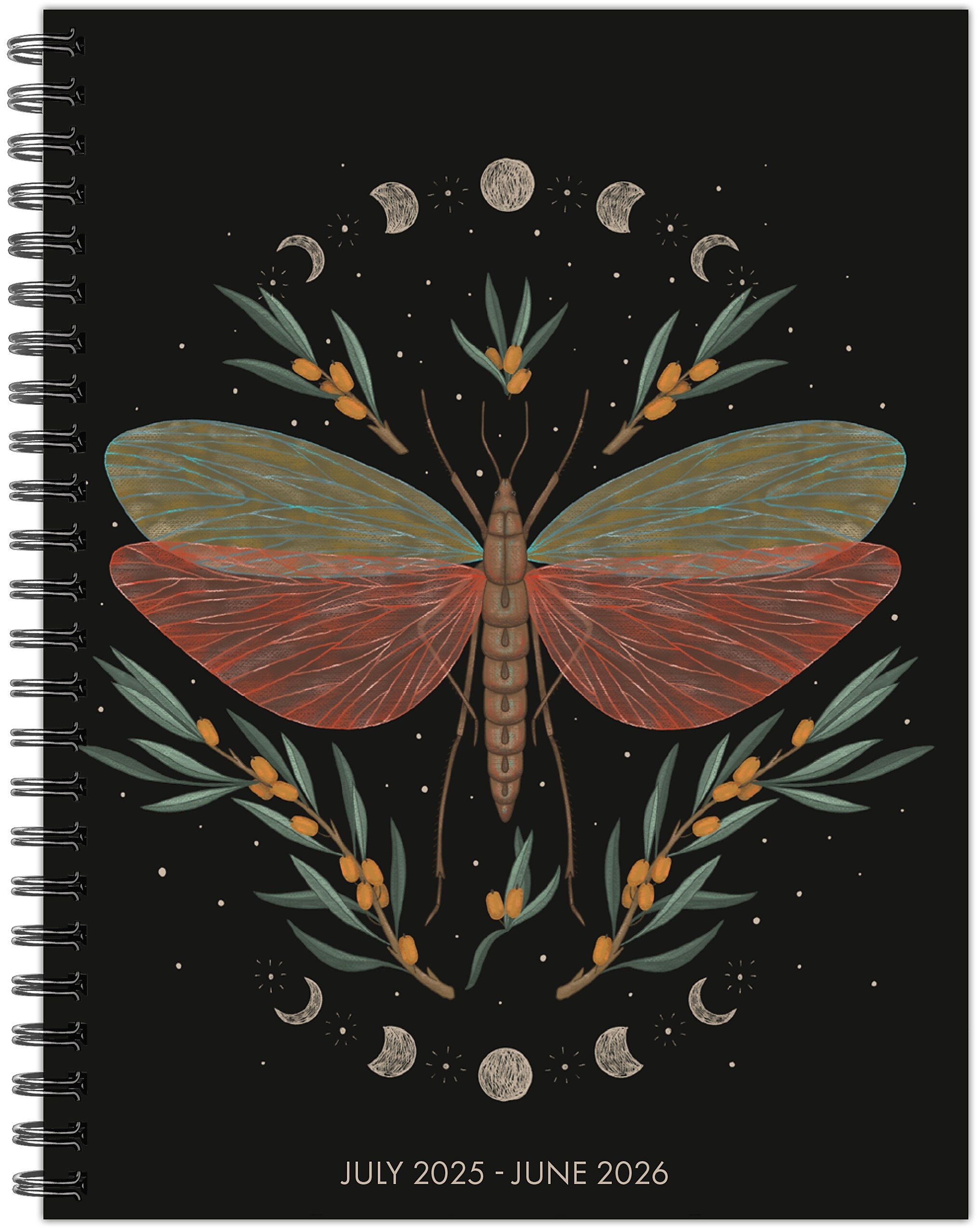 2025-2026 Willow Creek Mystic Butterfly 6.5" x 8.5" Academic Year Weekly & Monthly Planner, Multicolored (56899)