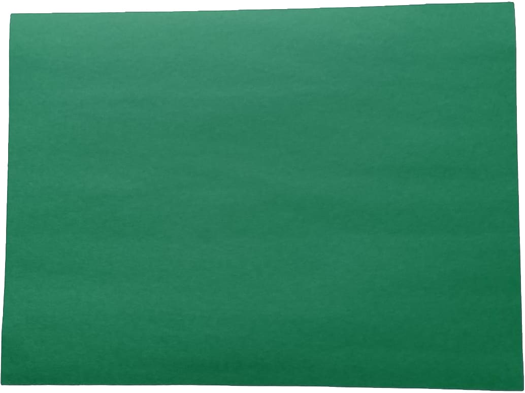 American Paper 12" x 18" Construction Paper, Holiday Green, 50 Sheets/Pack (CP12HGR)