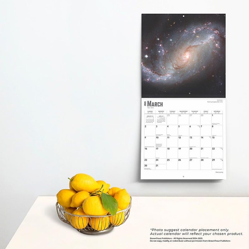 2025 BrownTrout Astronomy 12" x 12" Monthly  Wall Calendar (9781975476519)