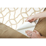York Wallcoverings Trellis Peel and Stick Wallpaper (RMK9121WP)